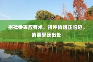 招抚番夷应有术，折冲樽俎正临边。的意思及出处