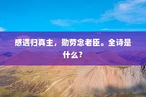 感遇归真主，勋劳念老臣。全诗是什么？