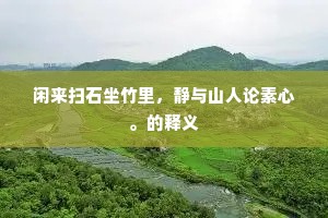 闲来扫石坐竹里，静与山人论素心。的释义