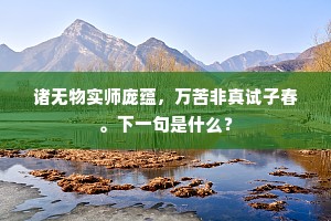 诸无物实师庞蕴，万苦非真试子春。下一句是什么？