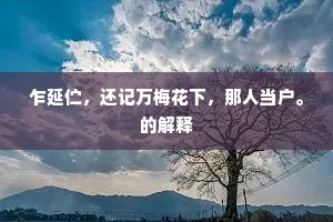 乍延伫，还记万梅花下，那人当户。的解释