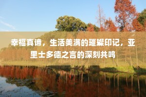幸福真谛，生活美满的璀璨印记，亚里士多德之言的深刻共鸣