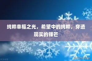 纯粹幸福之光，希望中的纯粹，穿透现实的锋芒
