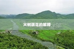 火树琪花的解释