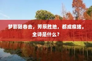 梦影随春去，芳辰胜地，都成痕绪。全诗是什么？