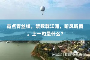 霜点青丝缕，禁数载江湖，听风听雨。上一句是什么？