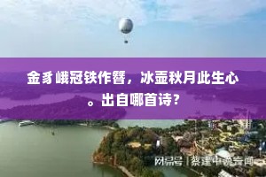 金豸峨冠铁作簪，冰壶秋月此生心。出自哪首诗？