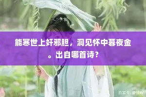 能寒世上奸邪胆，洞见怀中暮夜金。出自哪首诗？