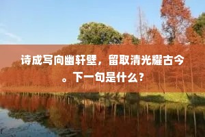 诗成写向幽轩壁，留取清光耀古今。下一句是什么？