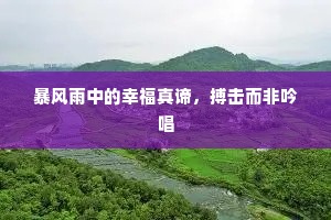 暴风雨中的幸福真谛，搏击而非吟唱