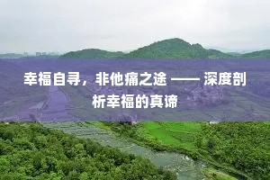 幸福自寻，非他痛之途 —— 深度剖析幸福的真谛