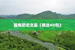 酸梅励志文案（精选40句）