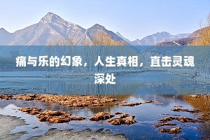 痛与乐的幻象，人生真相，直击灵魂深处
