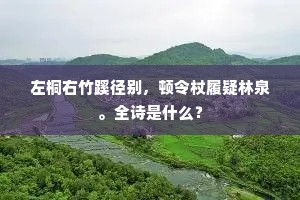 左桐右竹蹊径别，顿令杖履疑林泉。全诗是什么？