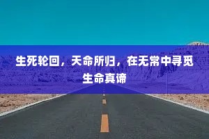 生死轮回，天命所归，在无常中寻觅生命真谛