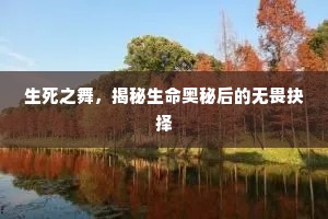 生死之舞，揭秘生命奥秘后的无畏抉择