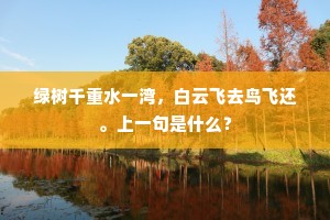 绿树千重水一湾，白云飞去鸟飞还。上一句是什么？
