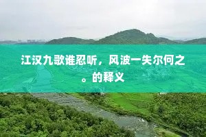 江汉九歌谁忍听，风波一失尔何之。的释义