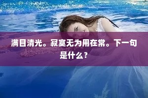 满目清光。寂寞无为用在常。下一句是什么？