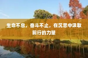 生命不息，奋斗不止，在沉思中汲取前行的力量