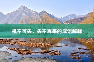 机不可失，失不再来的成语解释