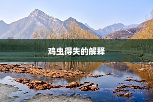 鸡虫得失的解释