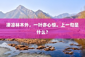 凄凉林木外，一叶亦心惊。上一句是什么？
