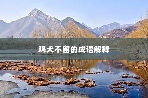 鸡犬不留的成语解释
