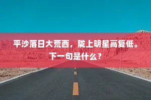 平沙落日大荒西，陇上明星高复低。下一句是什么？