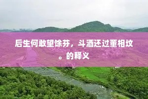 后生何敢望馀芬，斗酒还过董相坟。的释义