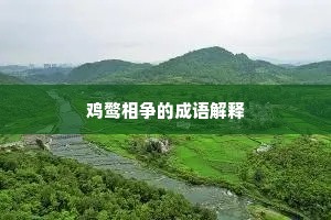 鸡鹜相争的成语解释