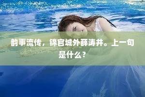 韵事流传，锦官城外薛涛井。上一句是什么？