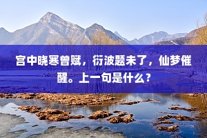 宫中晓寒曾赋，衍波题未了，仙梦催醒。上一句是什么？