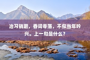 冶习销磨，香词零落，不似当年吟兴。上一句是什么？
