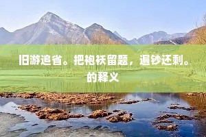 旧游追省。把袍袄留题，遍钞还剩。的释义