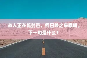 故人正在乾封邑，何日唤之来耦耕。下一句是什么？