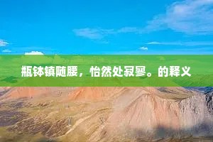 瓶钵镇随腰，怡然处寂寥。的释义