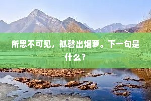 所思不可见，孤磬出烟萝。下一句是什么？