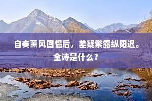 自奏薰风回愠后，差疑繁露纵阳迟。全诗是什么？