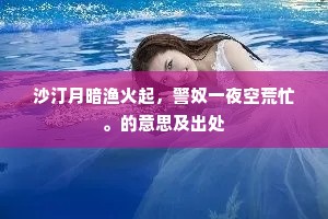 沙汀月暗渔火起，警奴一夜空荒忙。的意思及出处