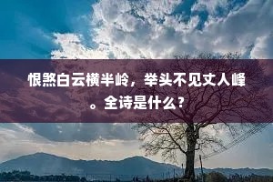 恨煞白云横半岭，举头不见丈人峰。全诗是什么？