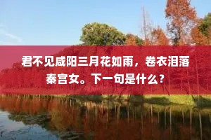 君不见咸阳三月花如雨，卷衣泪落秦宫女。下一句是什么？