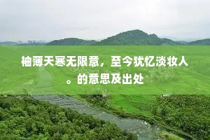 袖薄天寒无限意，至今犹忆淡妆人。的意思及出处