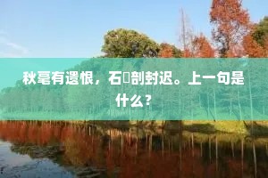 秋毫有遗恨，石窌剖封迟。上一句是什么？
