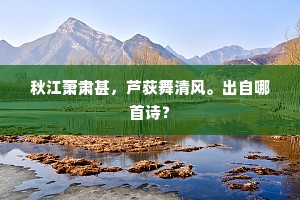 秋江萧肃甚，芦荻舞清风。出自哪首诗？