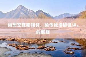 尚想玄珠密相付，免令我漫肆讥评。的解释