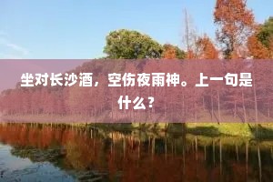 坐对长沙酒，空伤夜雨神。上一句是什么？