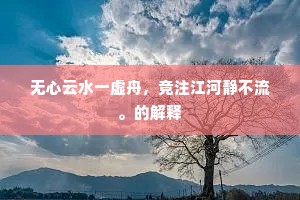 无心云水一虚舟，竞注江河静不流。的解释