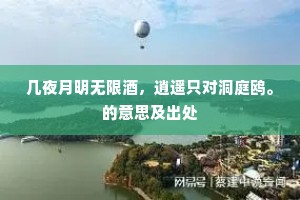 几夜月明无限酒，逍遥只对洞庭鸥。的意思及出处