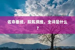 佐命垂统，股肱纲维。全诗是什么？
